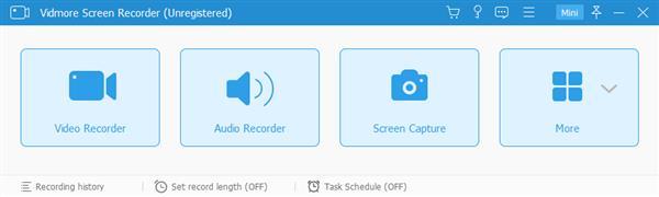 Vidmore Screen Recorder.jpg